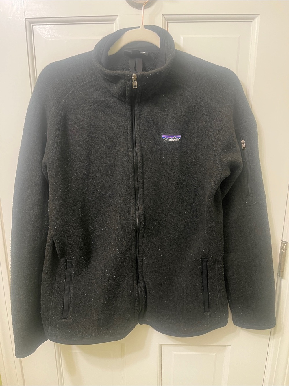 Patagonia Black Full-Zip Teddy Fleece Jacket